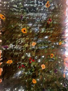 Il Nido-Entire apartment with balcony