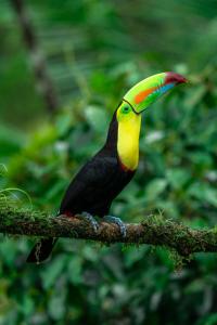 Quintaesencia Arte y Naturaleza