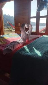 Cabañas la frontera