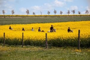 Projekt Stajnia - Nadmorski Ośrodek Jazdy Konnej - noclegi