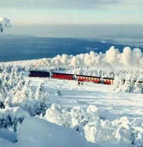 Woman-only guest house - 韦尼格罗德