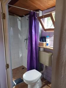 Cabañita de madera en Mas Coguleras