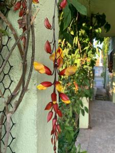 Apartamento gostoso de 1 quarto