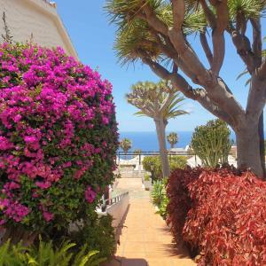 Madre Tierra Apartment