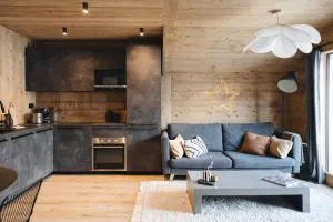 Appartement GRABILLES - 阿尔利河畔普拉兹