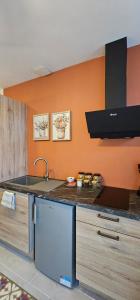 Appartements Depaysant a Poitiers : photos des chambres