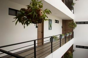 Norte Cali- Bosque Living - 104