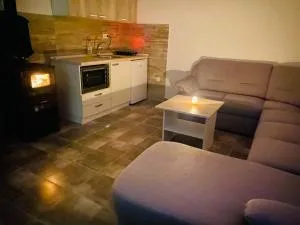 dr Genius Cottage - Negotin