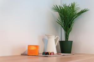 Appartements Apparts hotels Concarneau : photos des chambres