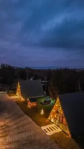 Povestea din Munti - Viştea de Sus