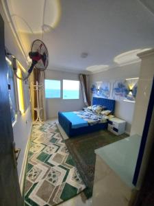 ميامي الاسكندريه