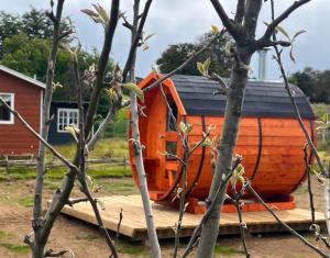 Cabañas Newen Castro