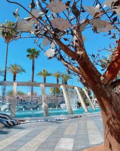 Casa de IRENE Cura Beach