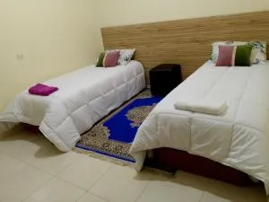 Apartamentos Nassiri - 阿尤恩