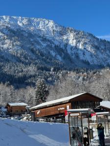 Apartement vue Monblanc incroyable ski inout Prarion5