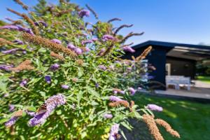 Cosy Classic Holiday Cottage With A Covered Terrace And Large Natural Plot Just A Few Minutes Walk From The Family-Friendly Ahl Beach