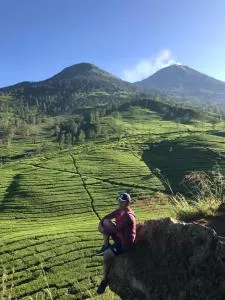 Moza House Wonosobo - Kalikajar