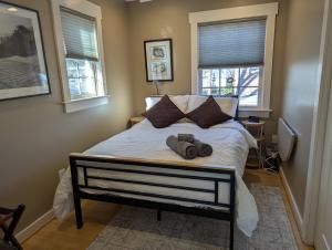 Back Alley Apartment, walk Downtown and Duke