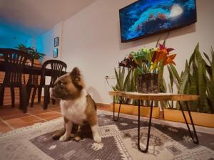 Acogedor apartamento, San Gil, Santander