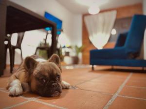 Acogedor apartamento, San Gil, Santander