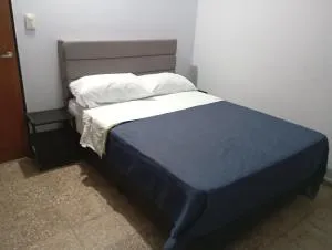 Los Cactus 2 - Patquía