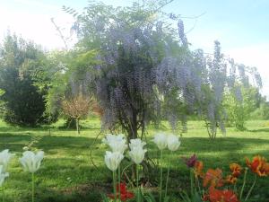 Maisons d'hotes Domaine Mongiron : Chambre Double - Vue sur Jardin