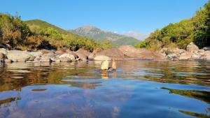 Appartements I Mucchi : photos des chambres