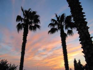 Islands Apartments Lesvos Greece