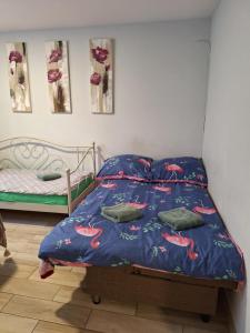 Apartament przy kładce