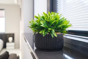 Heart of Plovdiv Studio Apartment Free Parking