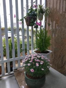 Thanh Nga Đà Lạt