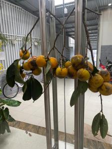 Thanh Nga Đà Lạt