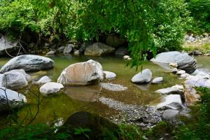 woodland camping tent jibhi