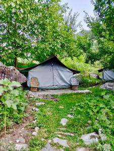 woodland camping tent jibhi