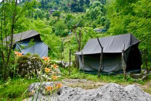 woodland camping tent jibhi