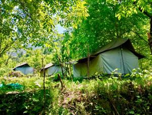 woodland camping tent jibhi