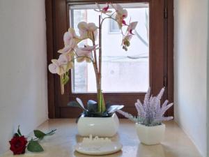 L Infinito dei Sassi