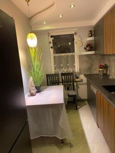 Cezar Apartament