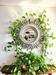 Homstay Vũ Linh căn hộ 2 phòng ngủ
