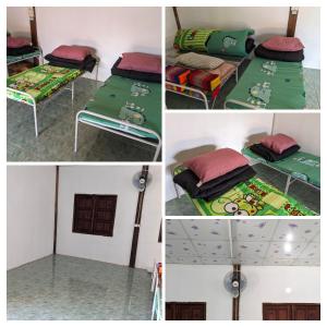 ที่ราบสูง & โฮมสเตย์