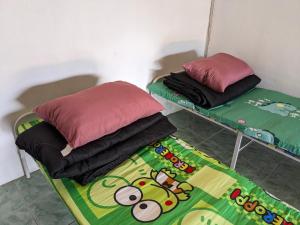 ที่ราบสูง & โฮมสเตย์