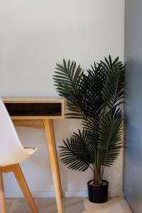 Garden View Collingwood