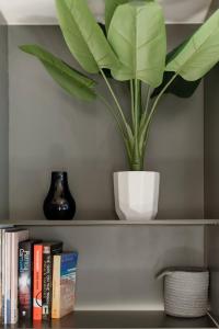 Garden View Collingwood