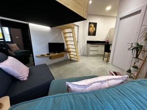 Appartements Le Studio de l -Avenue : photos des chambres