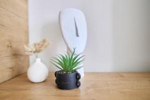 Appartements Le Jacquart Centre-ville Spacieux Confort : photos des chambres