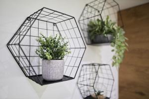 Appartements Le Jacquart Centre-ville Spacieux Confort : photos des chambres