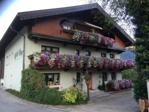 Apartments Wiglhof - 维辛