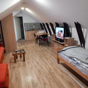 apartman 1 porodicni uzice