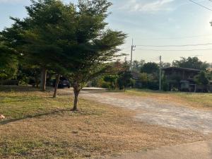 ท่าช้างรีสอร์ท กาญจนบุรี