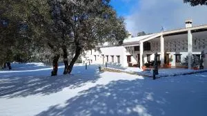 El Pinar de la Lobera - Los Teatinos